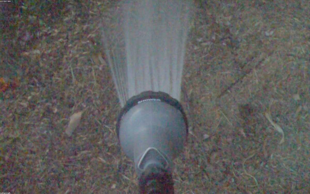 A flexible garden hose coiled on a green lawn