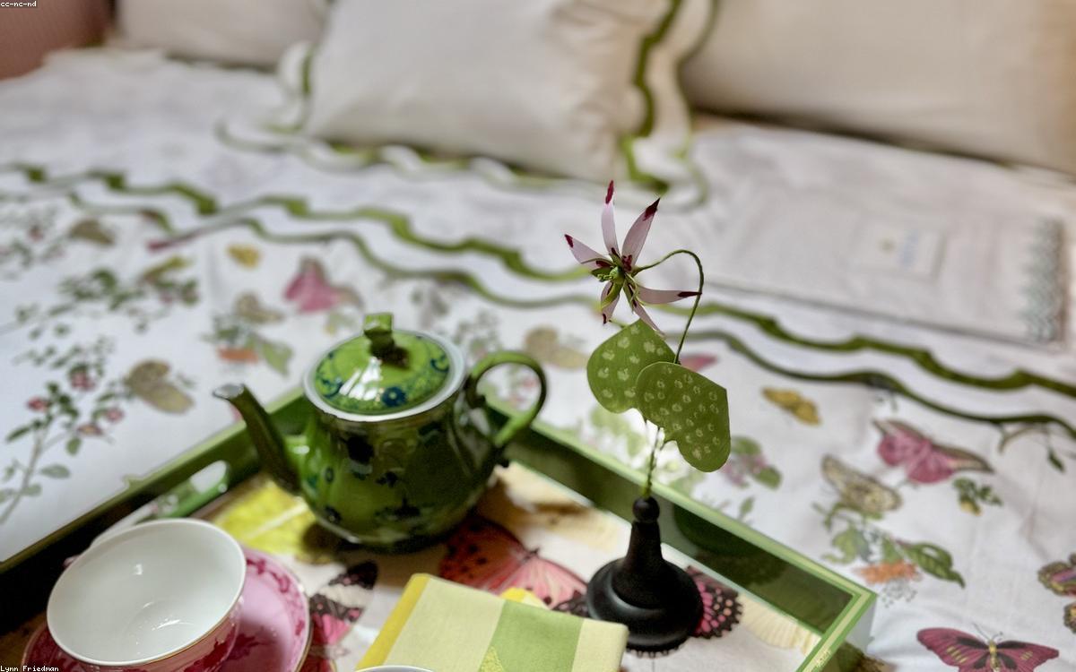 A neatly made bed with crisp white percale sheets in a bright bedroom
