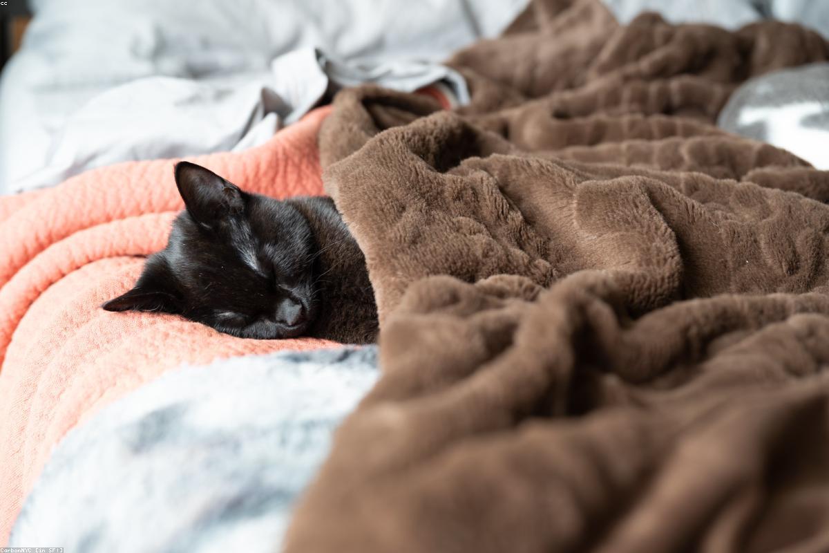 A gray weighted blanket folded across a neatly made bed